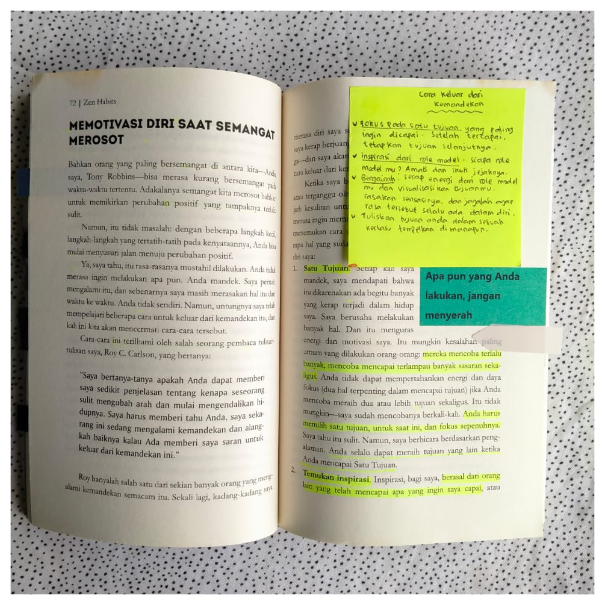 [REVIEW] Cara Ampuh Menjalani Hidup Sederhana, Bahagia dan Produktif dari Buku Zen Habits Karya Leo Babauta